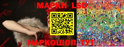 Альфа ПВП Ставрополь