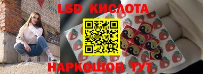 Альфа ПВП Ставрополь