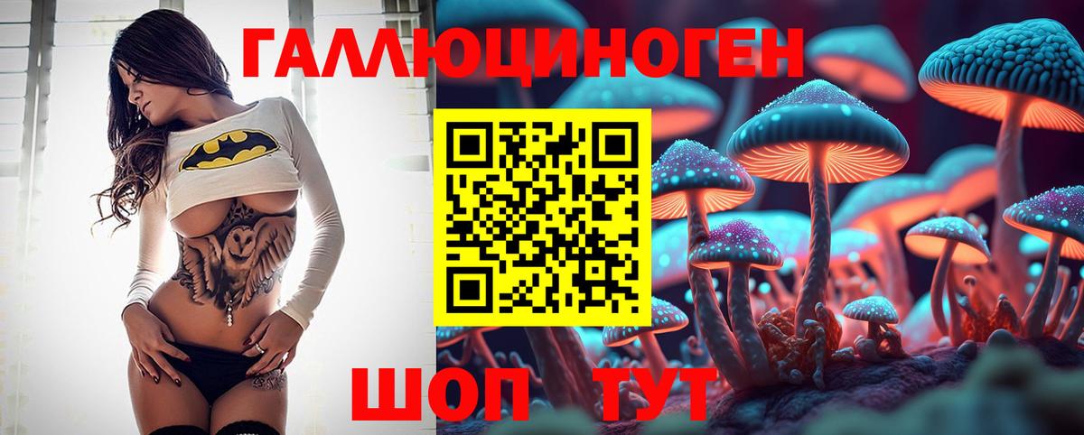 Новоалтайск  Псилоцибиновые грибы MAGIC MUSHROOMS  Вход с VPN 